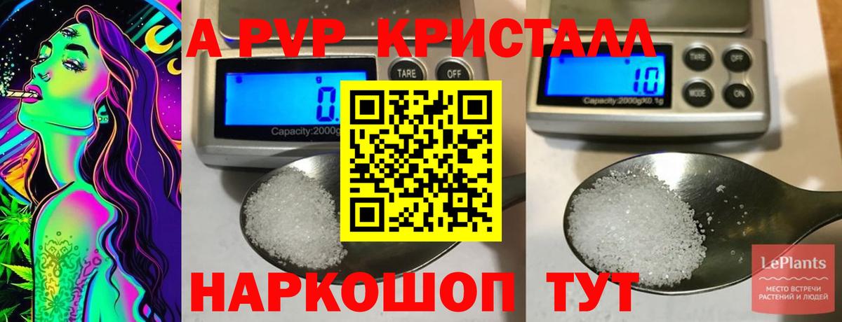 APVP СК Омск