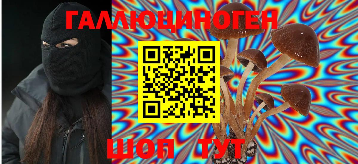 Омск  Псилоцибиновые грибы Cubensis  наркошоп  Вход с VPN 